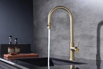 Смеситель для кухни Galant, светлое брашированное золото, Ga213077-SBG, Paulmark