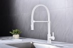 Смеситель для кухни Halt, белый матовый, Ha214021-431(WH), Paulmark