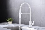 Смеситель для кухни Halt, белый матовый, Ha214021-431(WH), Paulmark