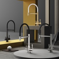 Смеситель Raglo для кухни со съемным гибким изливом, с магнитным фиксатором излива, с подключением фильтра питьевой воды R81.63.09 Графит