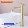 Смеситель Prohanss высокий для умывальника P31.15.03 Сатин золотой