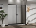 Душевая дверь Сити (City) VDS-5CT2170CLB, 1700, черный, стекло прозрачное