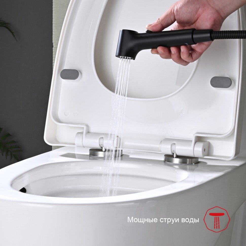 Смеситель Raglo настенный с гигиеническим душем R03.51.06