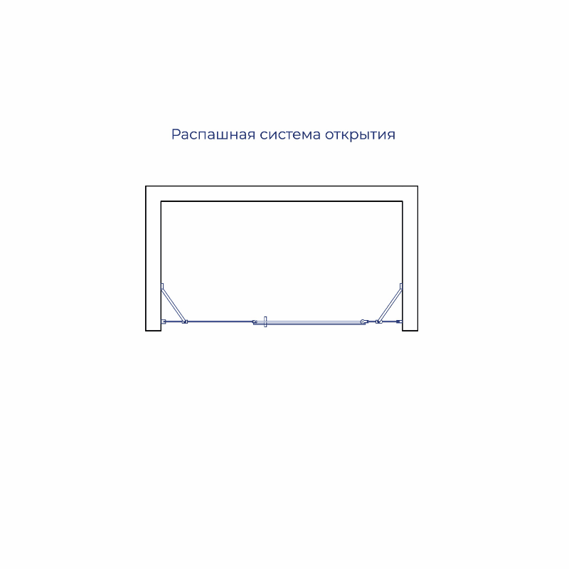 Душевая дверь RGW LE-009 (LE-004 + Z-09+профиль A-14) 1600