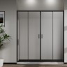 Душевая дверь Сити (City) VDS-5CT2170MT, 1700, хром, стекло текстурное