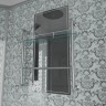 Душевая кабина Niagara Luxe NG-7744W (120x120х215) высокий поддон(50см),дверь раздвижная,стенки серебро,4 места