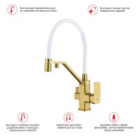 Смеситель Raglo для кухни со съемным гибким изливом, с магнитным фиксатором излива, с подключением фильтра питьевой воды R85.62.03 Золотой сатин