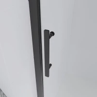 Душевая дверь Veconi Evo 100 GR, 1000x1950, графит брашинг, стекло тонированное матовое