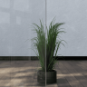 Душевой уголок стекло 6 мм, пятиугольный, форма трапеция, раздвижная дверь, RGW PA-86S NEW 1000x1000 (38088600-111N)