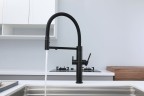 Смеситель для кухни NEXUS, антрацит, Ne213999-AN, Paulmark-Starke