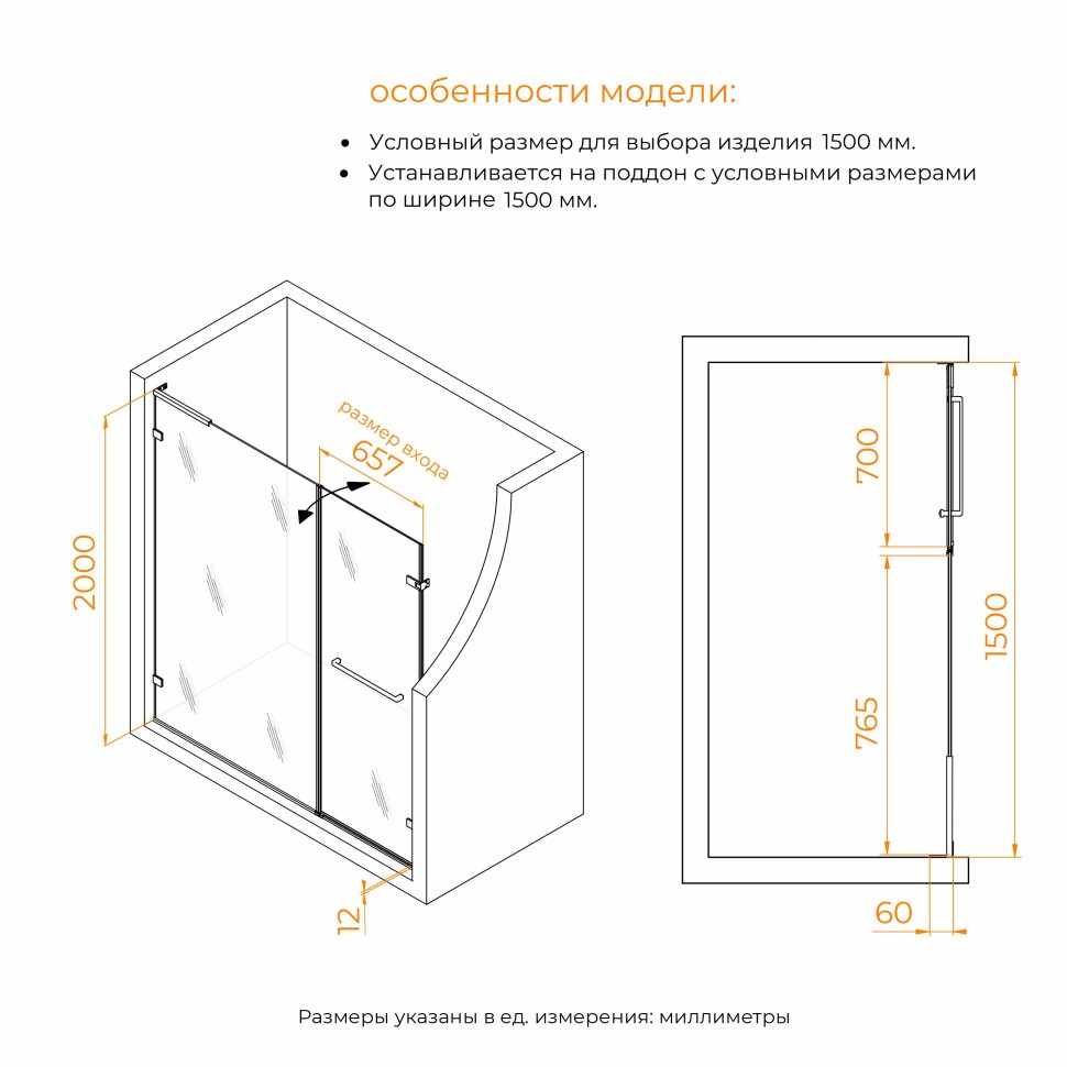 Душевая дверь RGW SV-006Gb (Прозрачное, 1500мм)