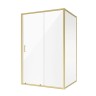 Душевое ограждение Niagara Nova NG-42-12AG-A110G (120х110х195) прямоугольник,золото,двери раздвижные,стекло прозрачное,2 места