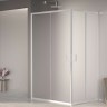 Душевой уголок RGW PA-040 (Матовое-Сатинат, 900x1000)