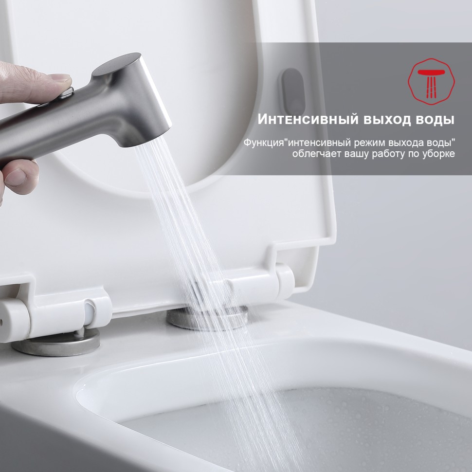 Смеситель Raglo настенный с гигиеническим душем R03.51.09