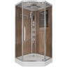 Душевая кабина Niagara Luxe 7717WD (100x100х215) низкий поддон(15см),дверь распашная,стенки серебро,4 места