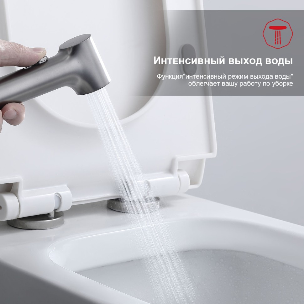 Смеситель Raglo встраиваемый с гигиеническим душем R03.52.09