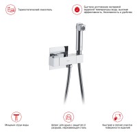 Смесители Raglo с гигиеническим душем встраиваемый с термостатом R24.56 Хром