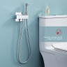 Смесители Raglo с гигиеническим душем встраиваемый с термостатом R24.56 Хром