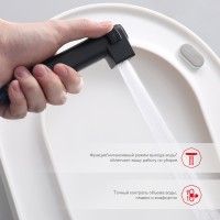 Смесители Raglo с гигиеническим душем встраиваемый с термостатом R24.56.06 Черный