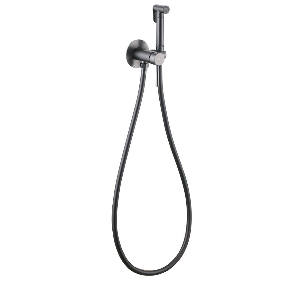 Смеситель ABBER Wasser Kreis AF8125NG с гигиеническим душем, никель