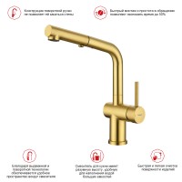 Смеситель Raglo для кухни с выдвижным изливом R86.49.03 Золотой сатин