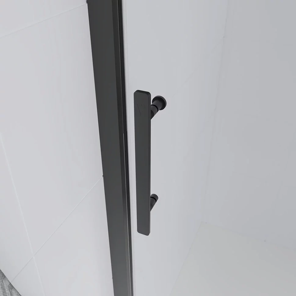 Душевая дверь Veconi Evo 100 GR, 1600x1950, графит брашинг, стекло тонированное матовое