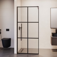 Душевая перегородка RGW WA-011B (900)