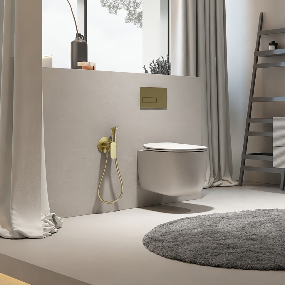 Смеситель Raglo встраиваемый с гигиеническим душем R10.52.03