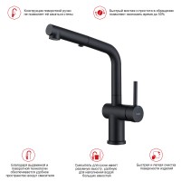 Смеситель Raglo для кухни с выдвижным изливом R86.49.06 Черный