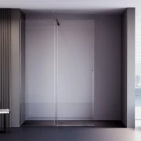 Душевая перегородка Veconi Premium Trento PTDW-50GR, 1200x2000, брашированный графит, стекло прозрачное