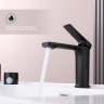 Смеситель Splenka для умывальника S40.10.06 Черный