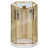 Душевая кабина Niagara Luxe NG-7717GBK (100x100х210) низкий поддон(15см),дверь распашная,стенки золото,без крыши,4 места