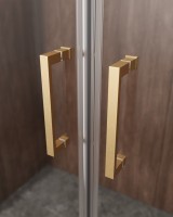 Душевая дверь CEZARES MOLVENO-BF-2-170-C-BORO-IV