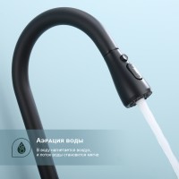 Смеситель Splenka для кухни с выдвижным изливом S203.49.06 Черный