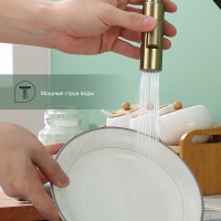 Смеситель Splenka для кухни с выдвижным изливом S204.49.03 Золотой сатин