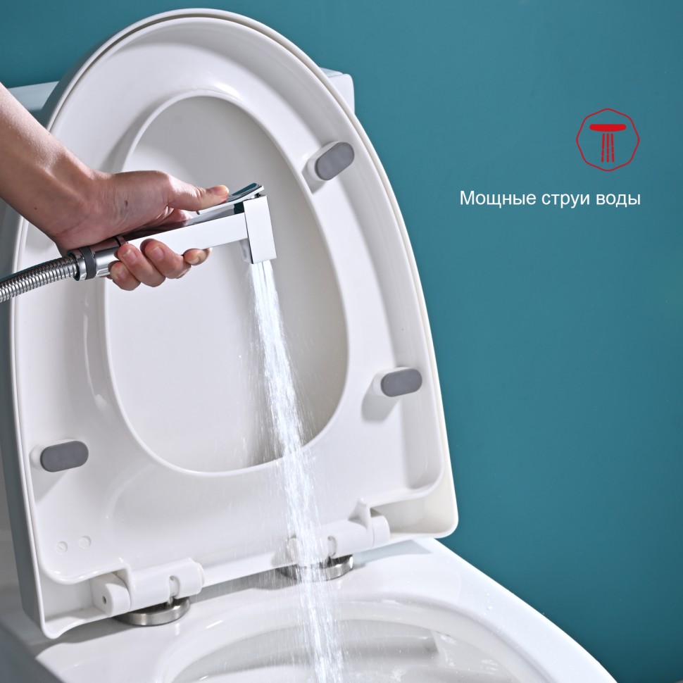 Смеситель Raglo с гигиеническим душем для умывальника хром