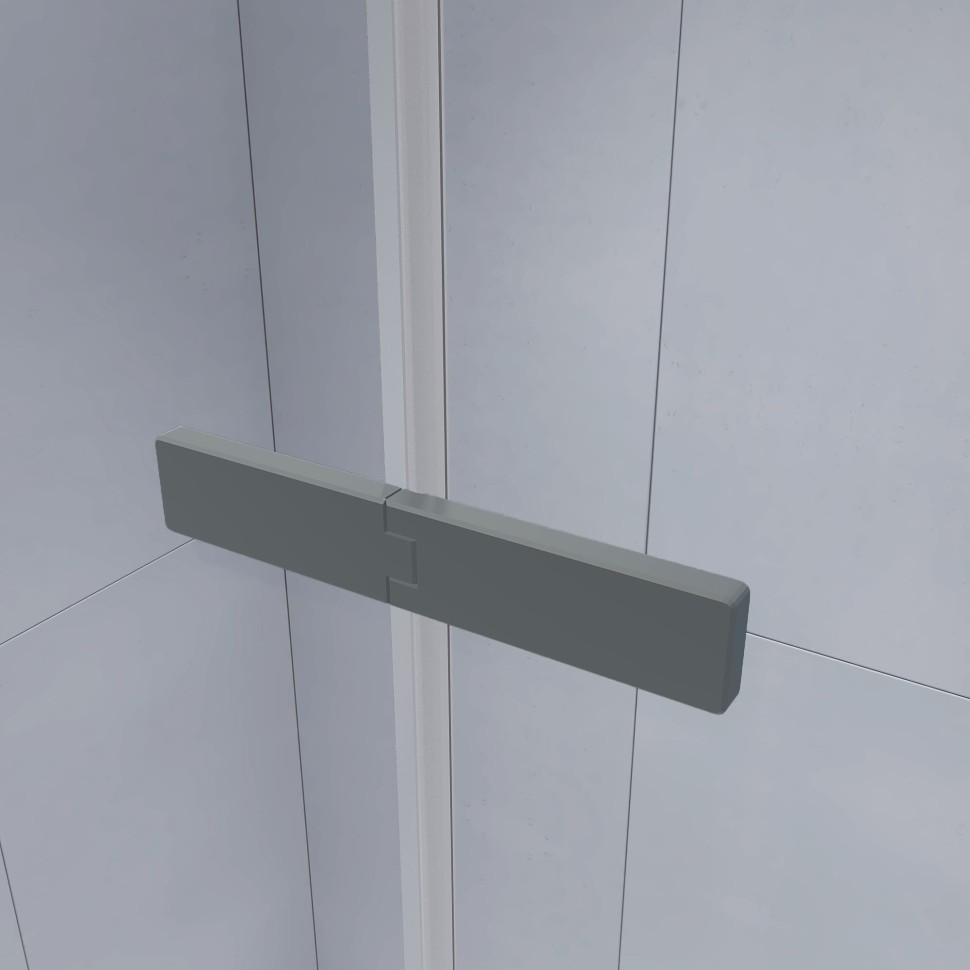 Душевой уголок с распашной дверью на петлях - RGW SV-040Gr (Прозрачное, 1200x1000)