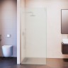 Душевая перегородка RGW WA-210 (351021008-21)