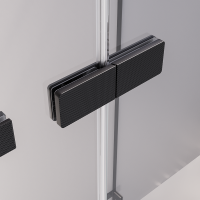 Душевая дверь распашная Veconi Premium Alassio B, 1500х2000, черный матовый, стекло прозрачное осветленное