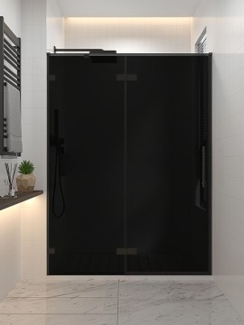 Душевая дверь распашная Veconi Premium Alassio BB, 1300х2000, черный матовый, стекло черное