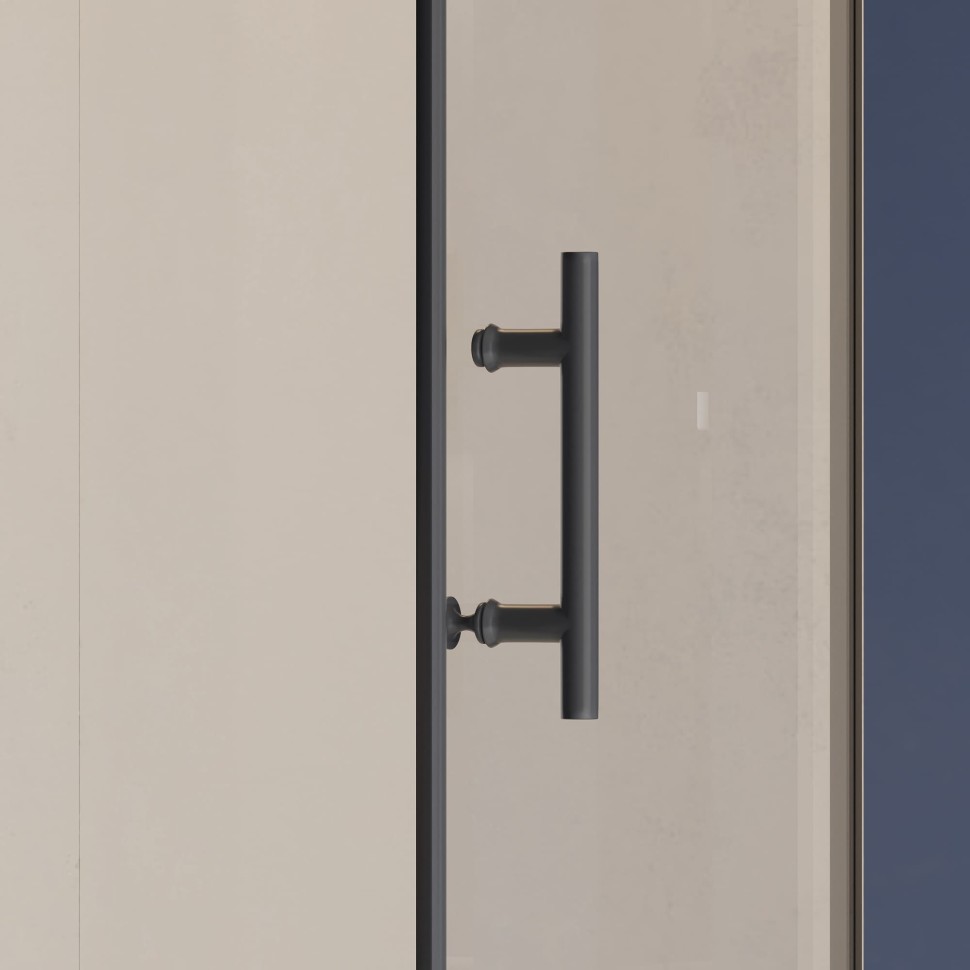 Душевая дверь RGW HO-011B (Прозрачное, 700)