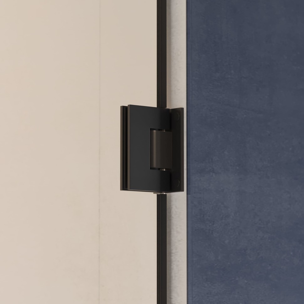 Душевая дверь RGW HO-011B (Прозрачное, 700)