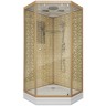 Душевая кабина Niagara Luxe NG-7702DG (100x100х210) низкий поддон(15см),дверь распашная,стенки золото,3 места