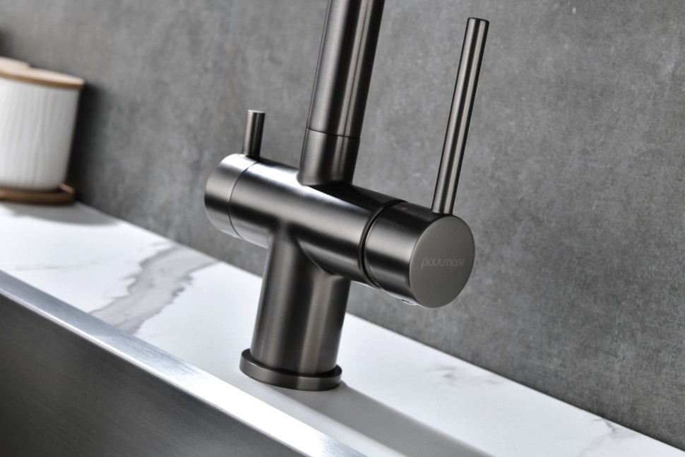 Смеситель для кухни SERPENTINE, вороненая сталь, Se213222-GM, Paulmark