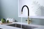 Смеситель для кухни Salix золото, Sa213419-G, Paulmark
