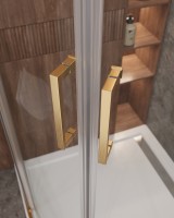 Душевой уголок CEZARES MOLVENO-R-2-100-C-BORO-IV