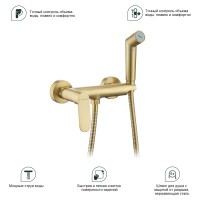 Смеситель Splenka настенный с гигиеническим душем S41.51.03 Золотой сатин