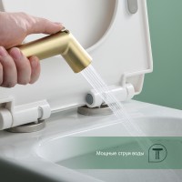 Смеситель Splenka настенный с гигиеническим душем S41.51.03 Золотой сатин