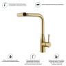 Смеситель Splenka для кухни с мультифункциональным и выдвижным изливом S206.49.03 Золотой сатин