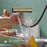 Смеситель Splenka для кухни с мультифункциональным и выдвижным изливом S206.49.03 Золотой сатин